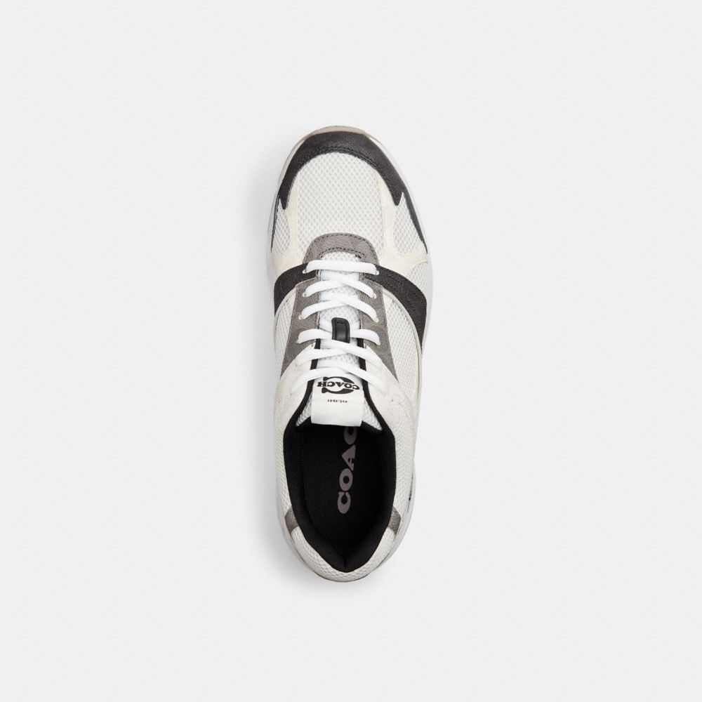Sport Sneaker In Signature Canvas