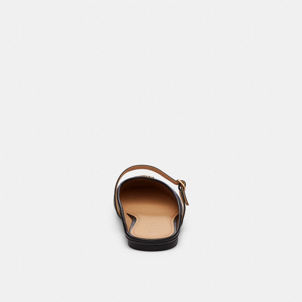 Ballet Mule