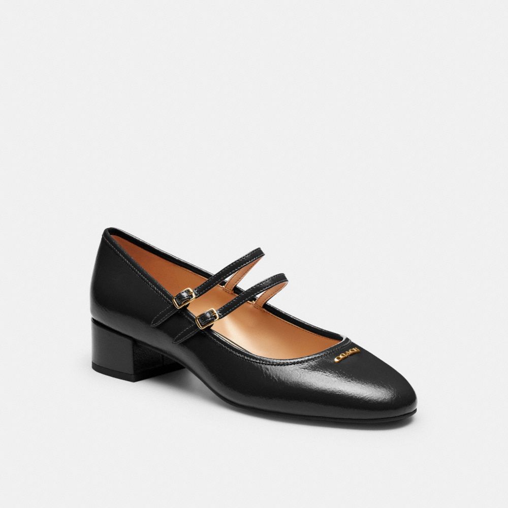 Double Buckle Block Heel Mary Jane