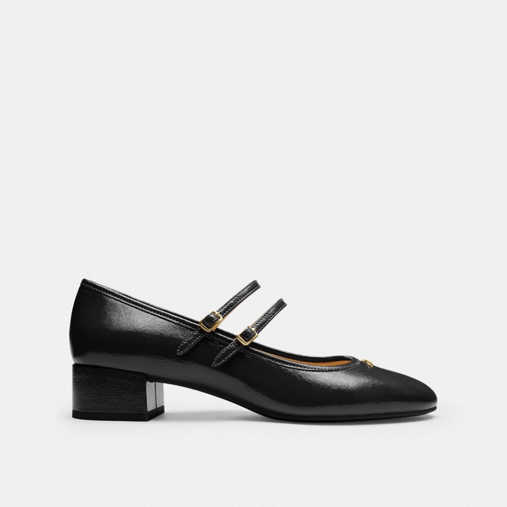 Double Buckle Block Heel Mary Jane