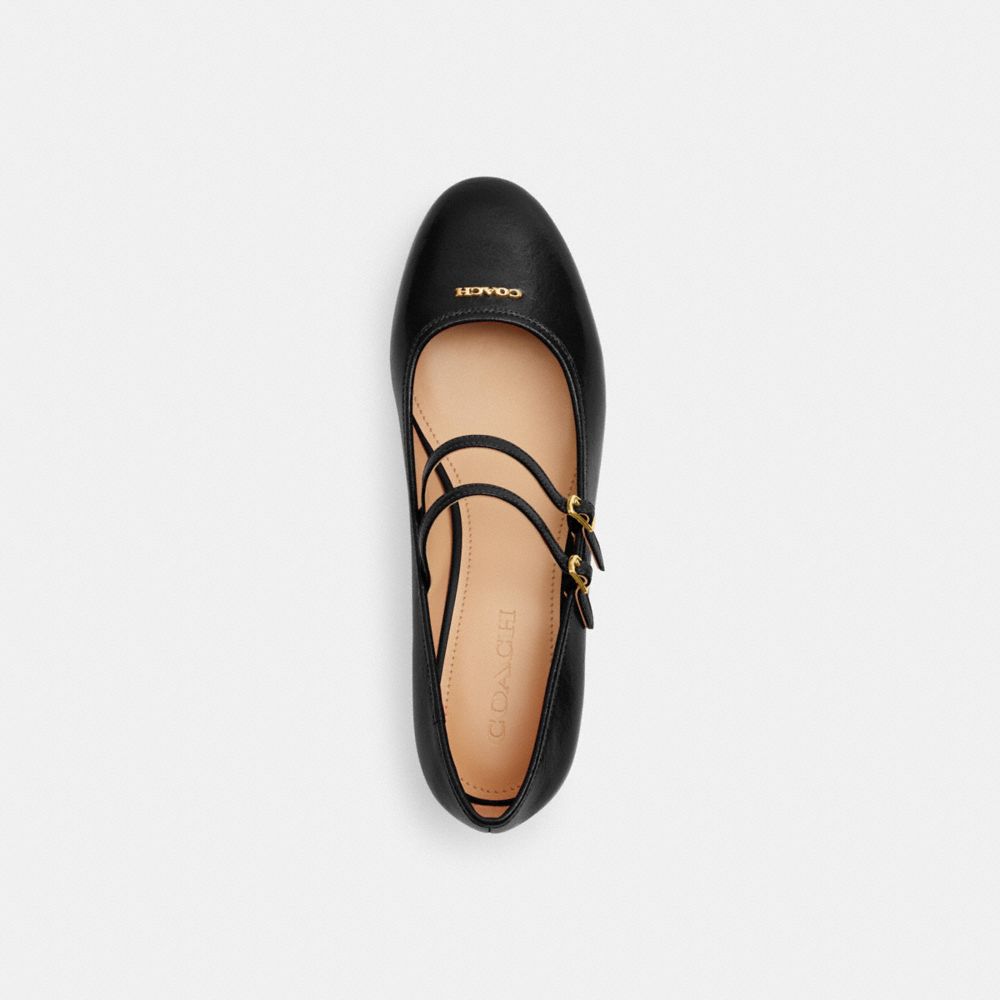 Double Buckle Block Heel Mary Jane