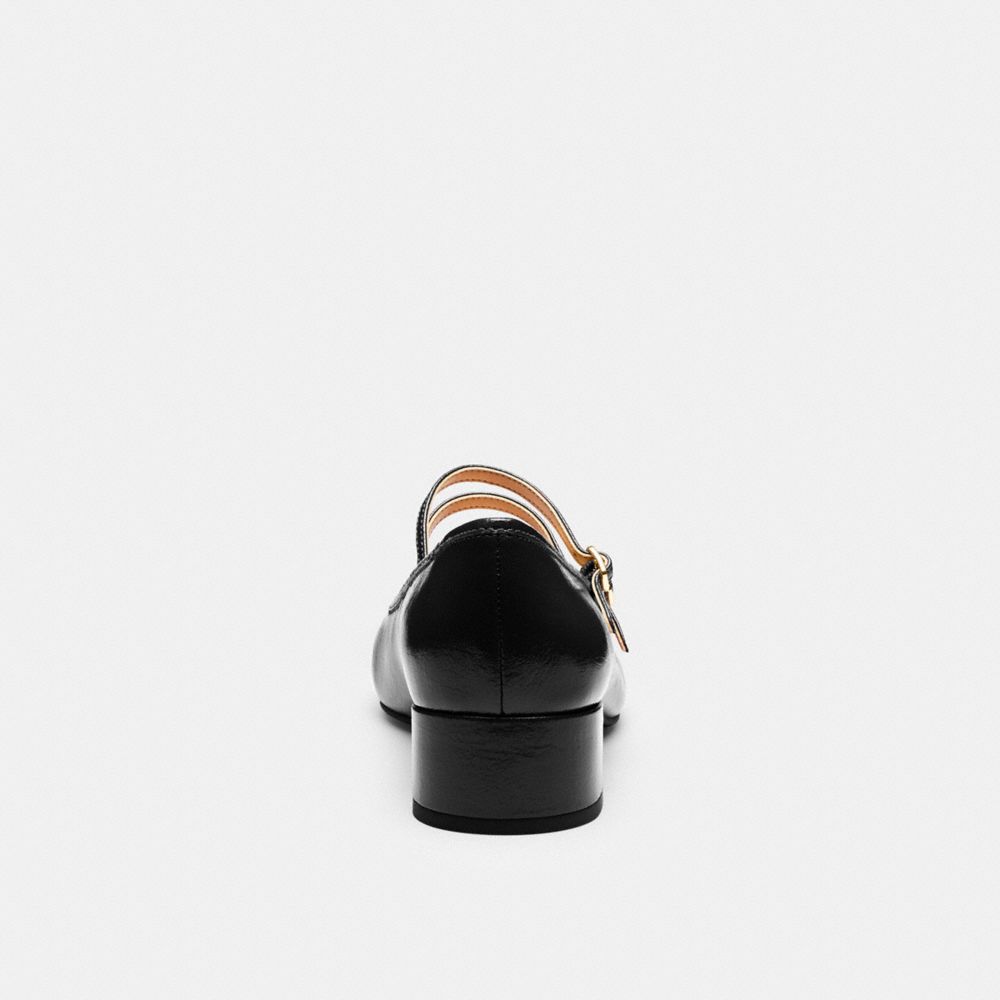 Double Buckle Block Heel Mary Jane