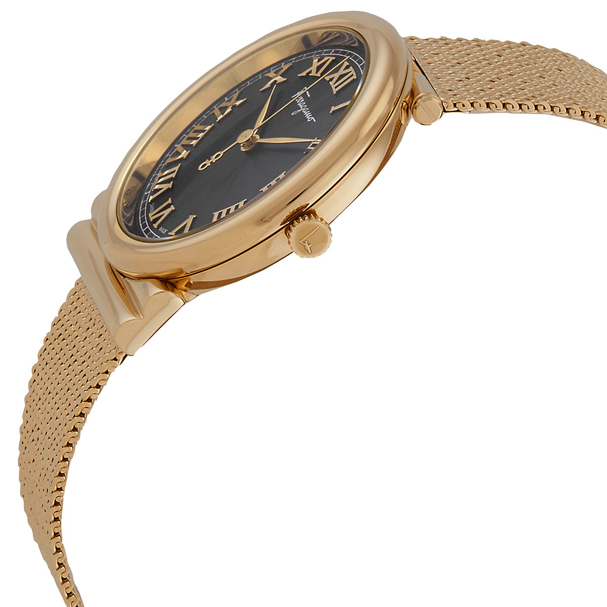 Ferragamo Gancino Quartz Black Dial Ladies Watch SFUF00521